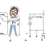 Worn insulation allows the live wire to come into direct contact with the metal case of this equipment (shown by R in above images). Image (a) :- The earth / ground connection being broken, the person is severely shocked. The equipment may operate normally in this situation. Image (b) :- With a proper earth / ground, an ELR trips, forcing repair of the equipment.