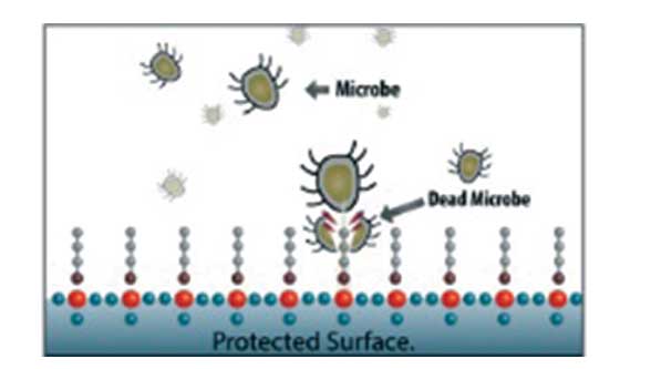 AMI--Anti-microbial-silicones-1